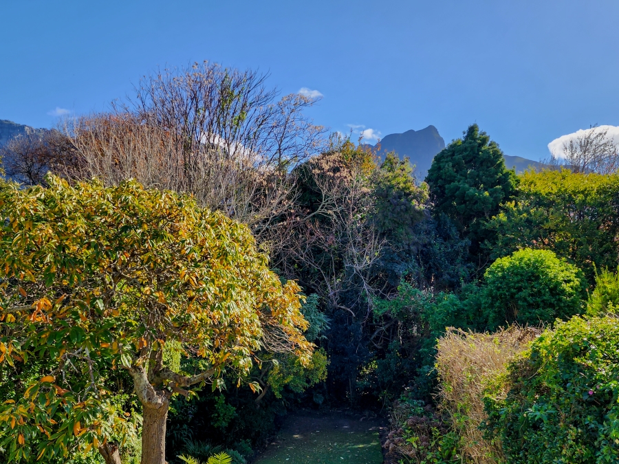3 Bedroom Property for Sale in Newlands Western Cape